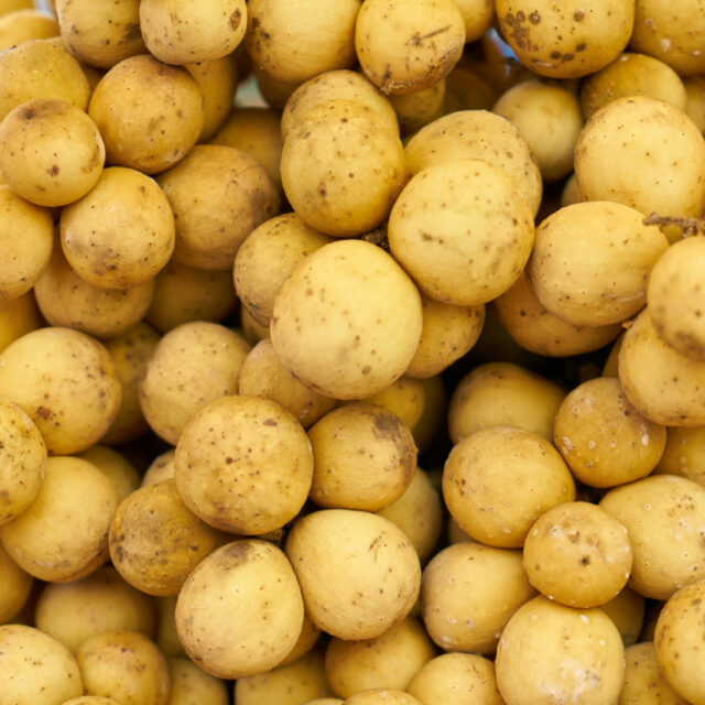 many potatoes together scaled 1