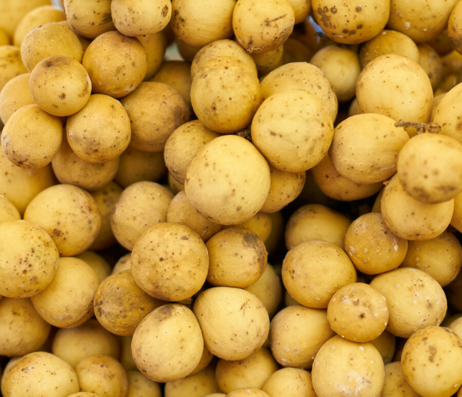 many potatoes together scaled 1